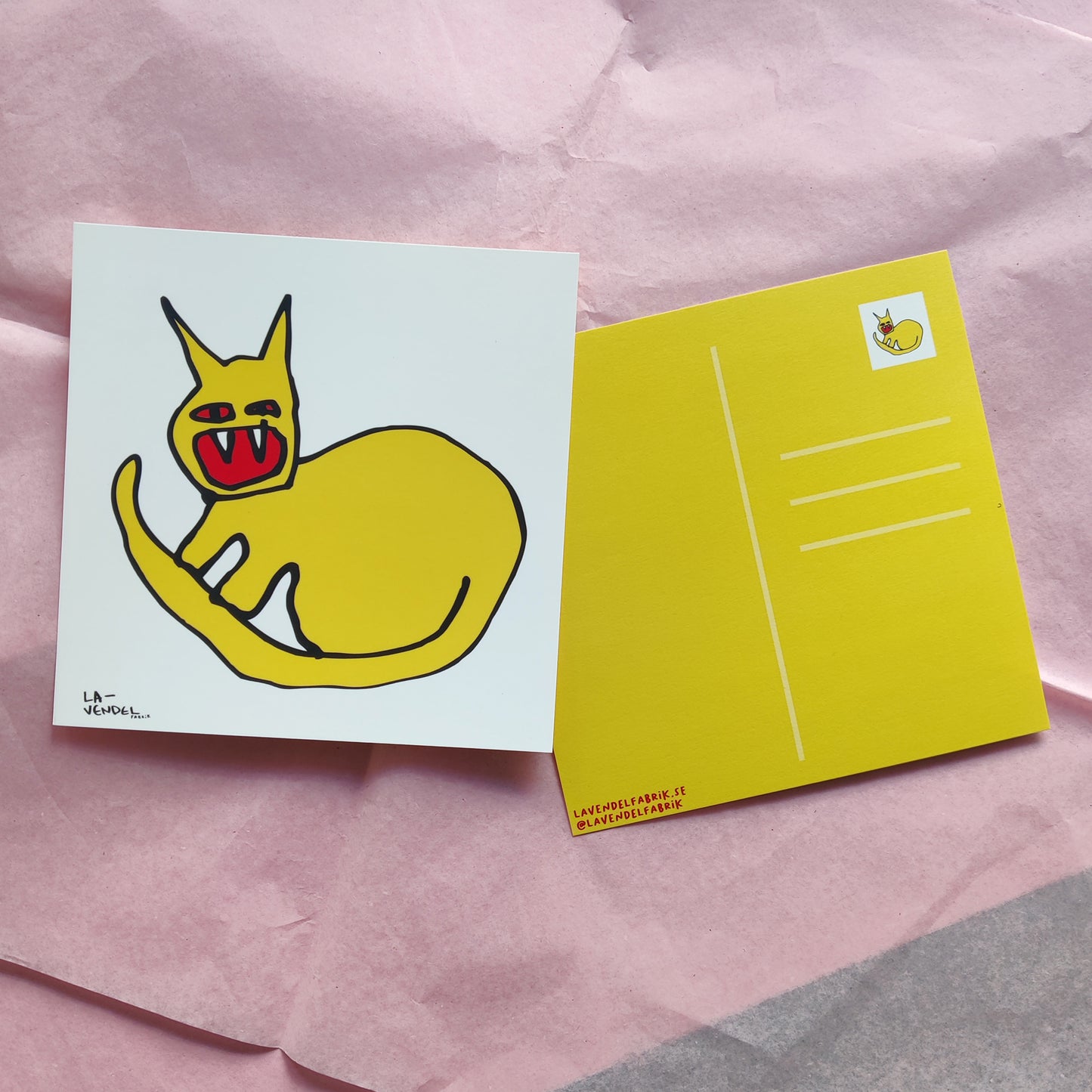 Cat, postcard